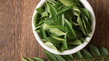 garnishing-instructions-image